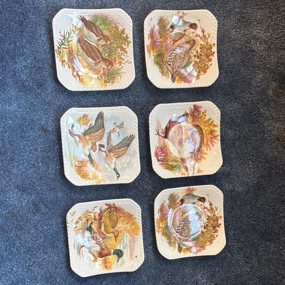 Vintage Wild bird trinket plates set of 6